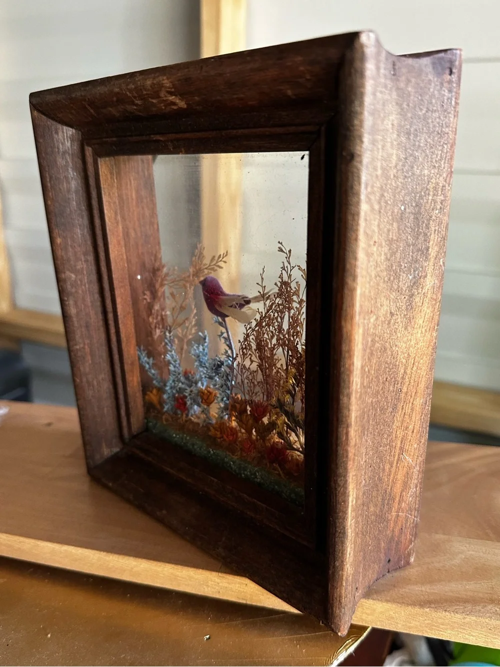 Framed Miniature Shadow Box with Colorful Bird and Dried Floral Scene